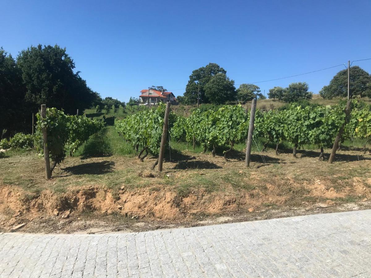 Quinta Casa Do Retiro Villa Penalva do Castelo Eksteriør billede