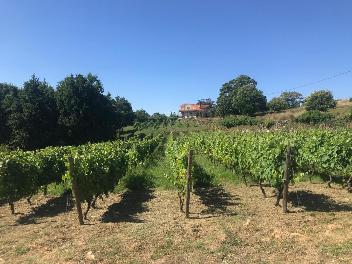 Quinta Casa Do Retiro Villa Penalva do Castelo Eksteriør billede